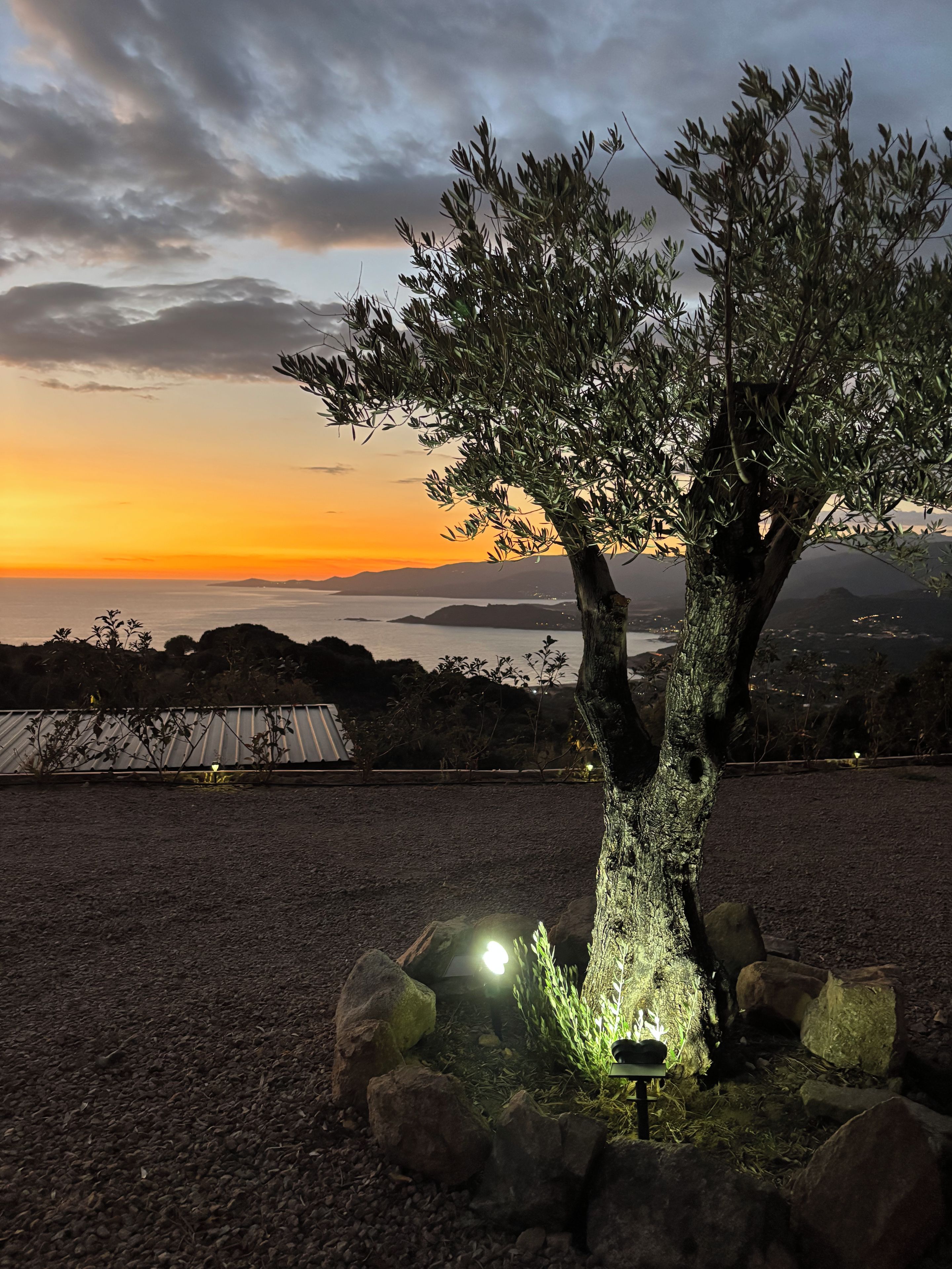 Un arbre avec un luminaire en premier plan, une zone recouverte de gravier et, en arrière-plan, une vue sur le coucher du soleil.