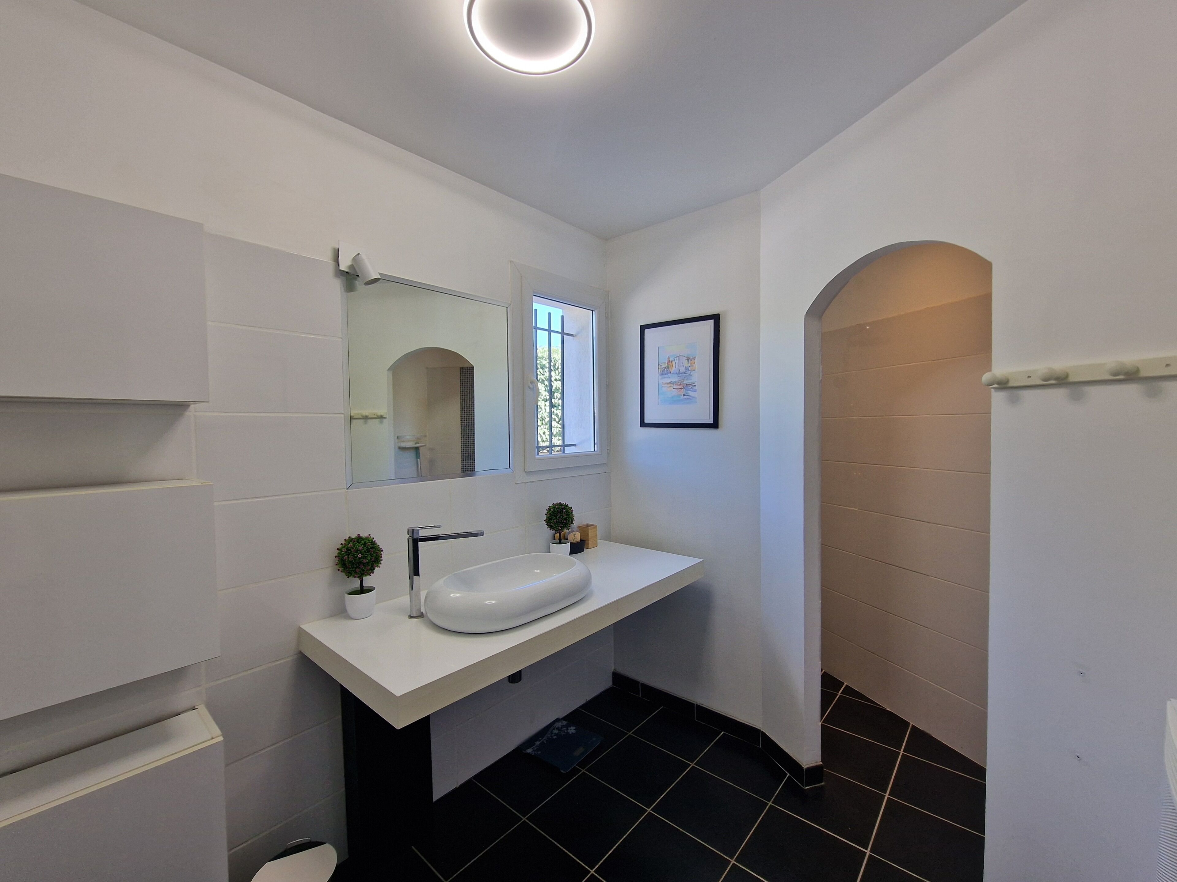 A modern bathroom with a white sink, a mirror, a small potted plant, and a framed picture on the wall.