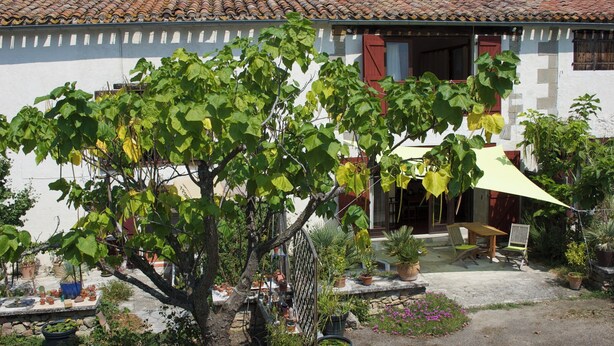 Un bâtiment blanc avec un toit en tuiles, un jardin agrémenté de plantes en pot, et une table avec des chaises à l’extérieur.
