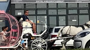 Una carrozza trainata da cavalli di fronte a un edificio con un cartello che recita 'Sea Princess Hotel and Restaurant'.