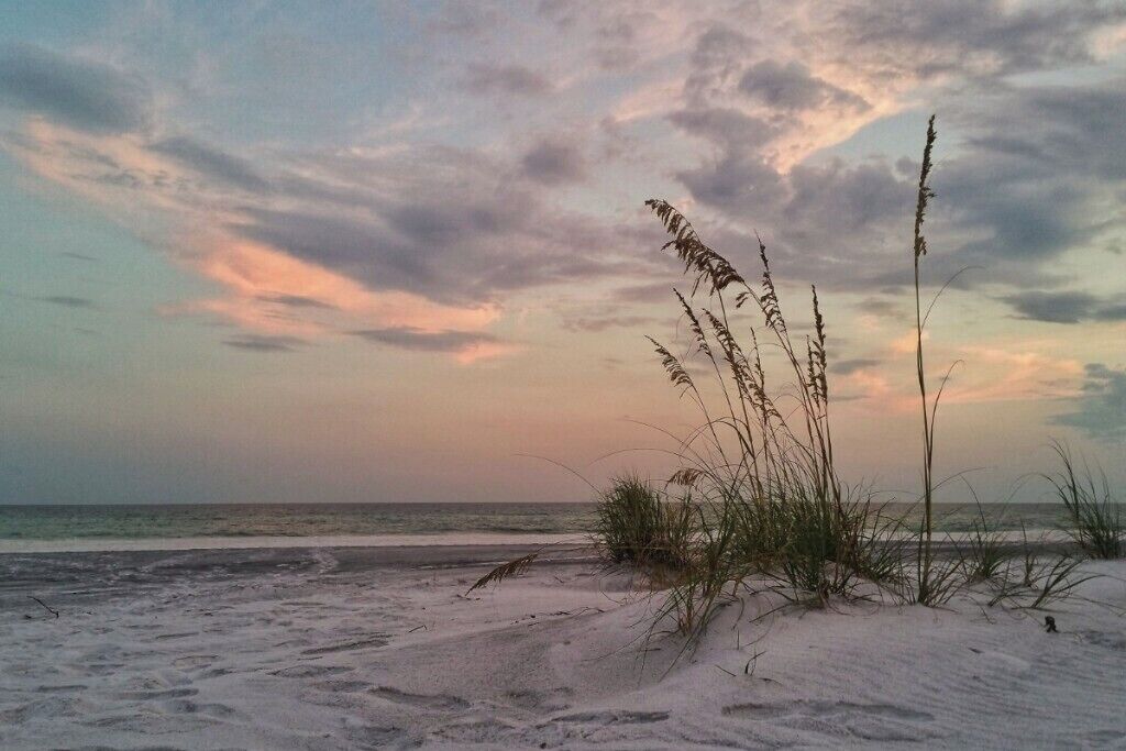 A beach with sand and grasses, and a cloudy sky.