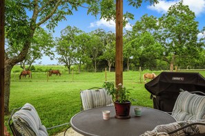 Ein Außenbereich mit Sitzgelegenheit, Tisch, Stühlen und Grill.