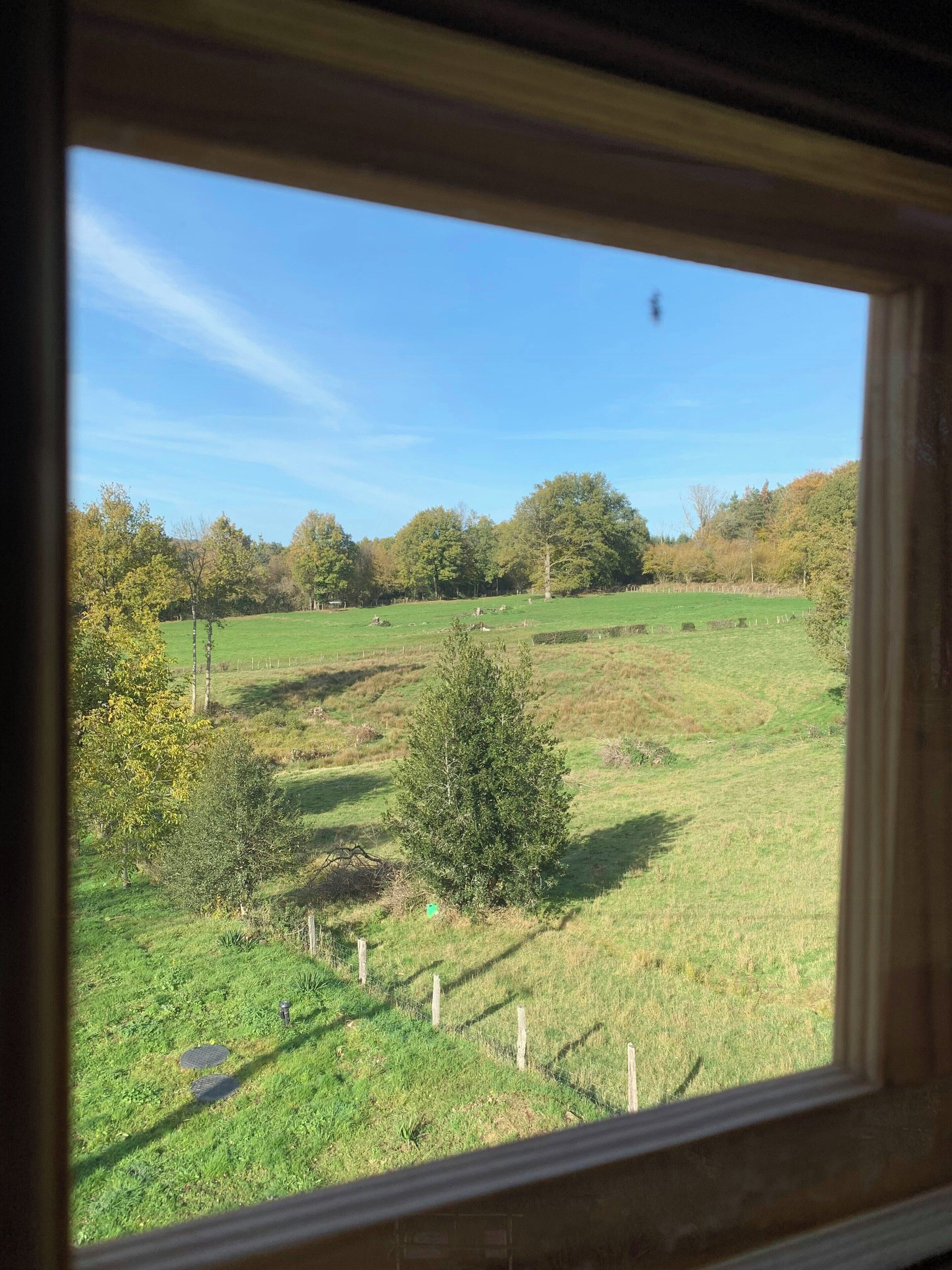 A view through a window of a grassy field with trees and a clear sky.