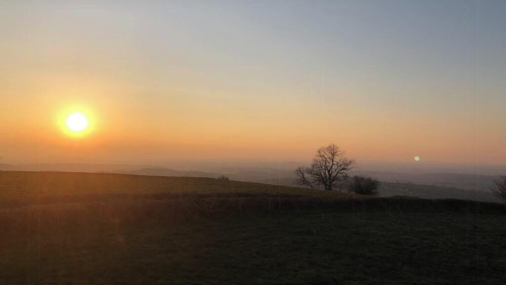 A sunrise over a hilly landscape with a single tree and a distant sun.