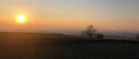 A sunrise over a hilly landscape with a single tree and a distant sun.