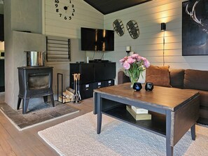 TV, fireplace - Mountain cabin with magical view and tranquil lake (Matre)