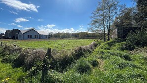 Paesaggio rurale con una casa bianca, un campo e un albero.