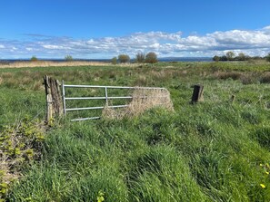 Property grounds - Modern Rural Ireland Retreat – Spacious & Peaceful Countryside Escape. (Derryadd)