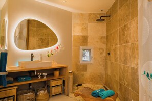 Douche, sèche-cheveux, serviettes fournies, papier toilette