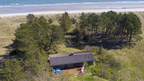 Een chalet met schuin dak, omringd door dichte dennenbomen, in de buurt van een strand.