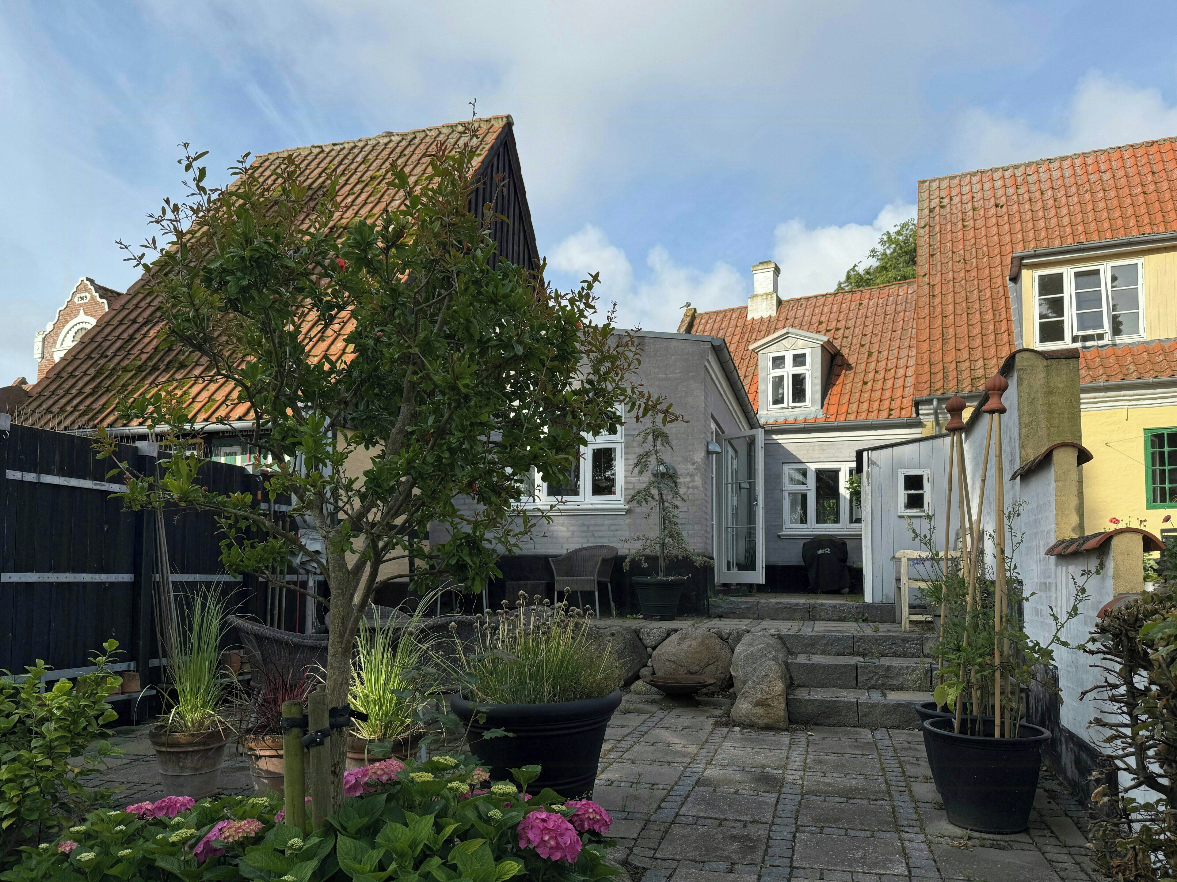 Eksteriør