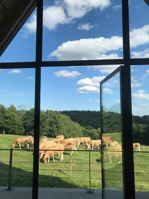 Interior - The Grange in Cantal (Parlan)