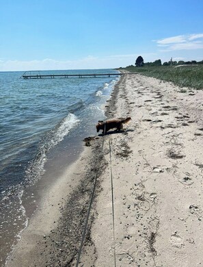 Plage
