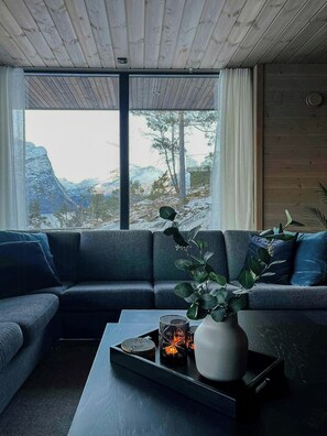 Fernseher, Kamin