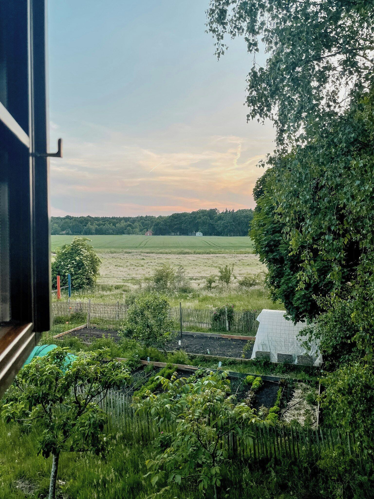 A view through a window of a rural landscape with a field, trees, and a fence.