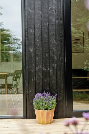 Ein Holzboden, ein Topf mit Lavendel und eine Glastür, in der sich Grünpflanzen spiegeln.