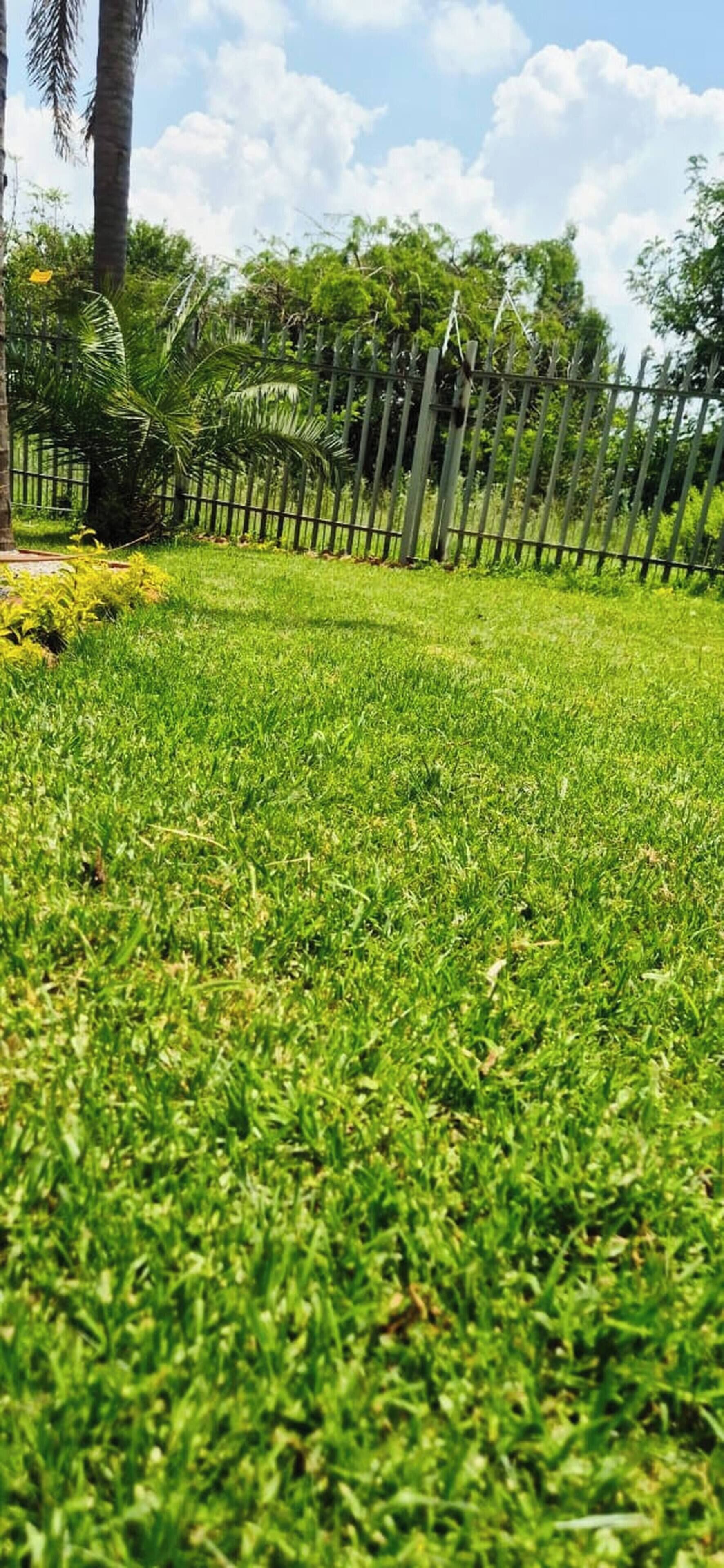 A grassy area with a metal fence and trees in the background.