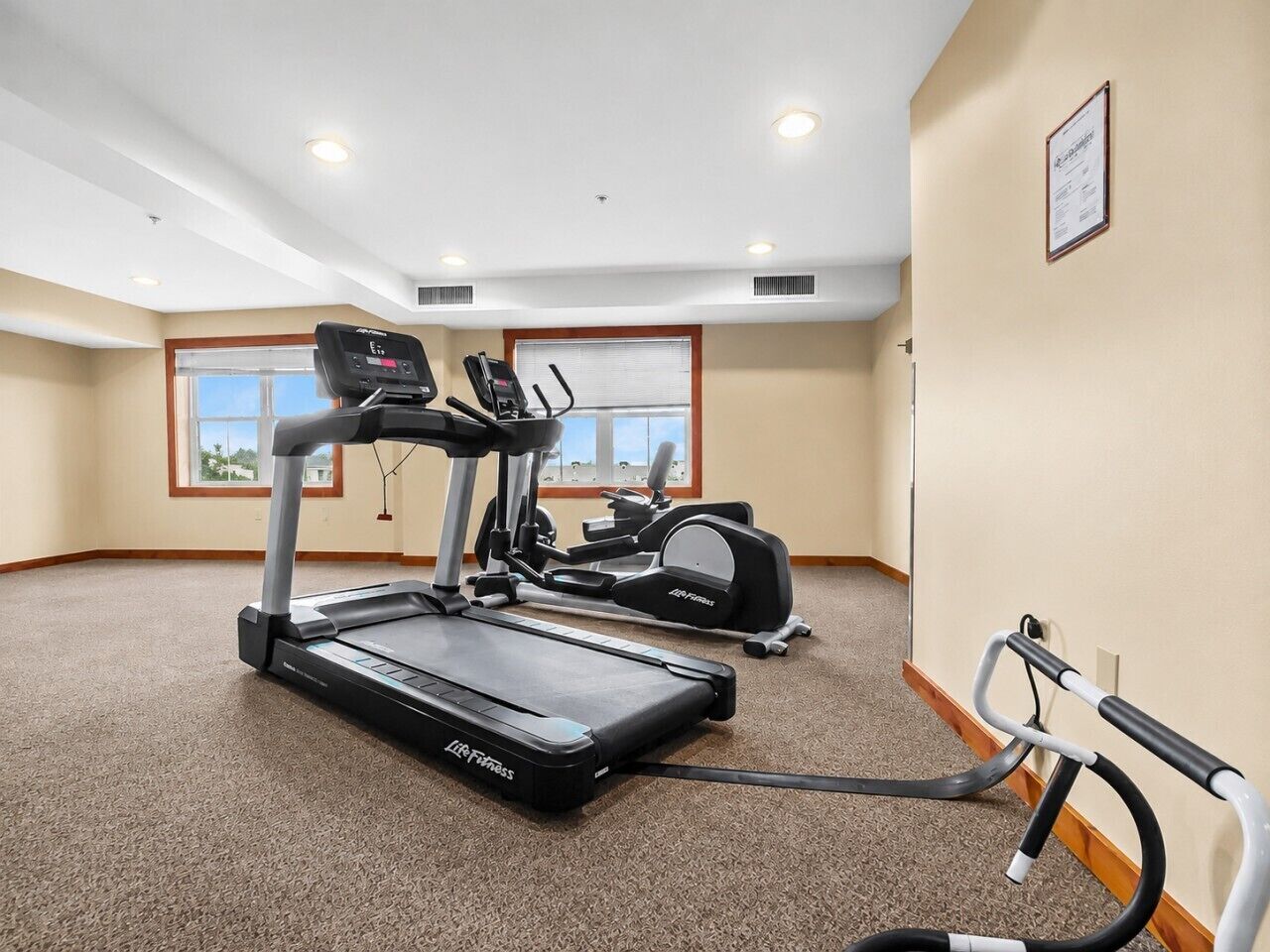 A gym with treadmills, ellipticals, and a stationary bike.