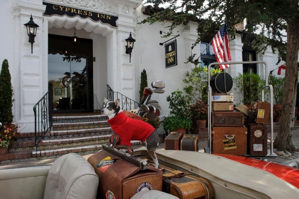 Un perro con suéter sobre un coche antiguo, con un letrero que dice 'Cypress Inn' sobre la entrada a un edificio blanco.