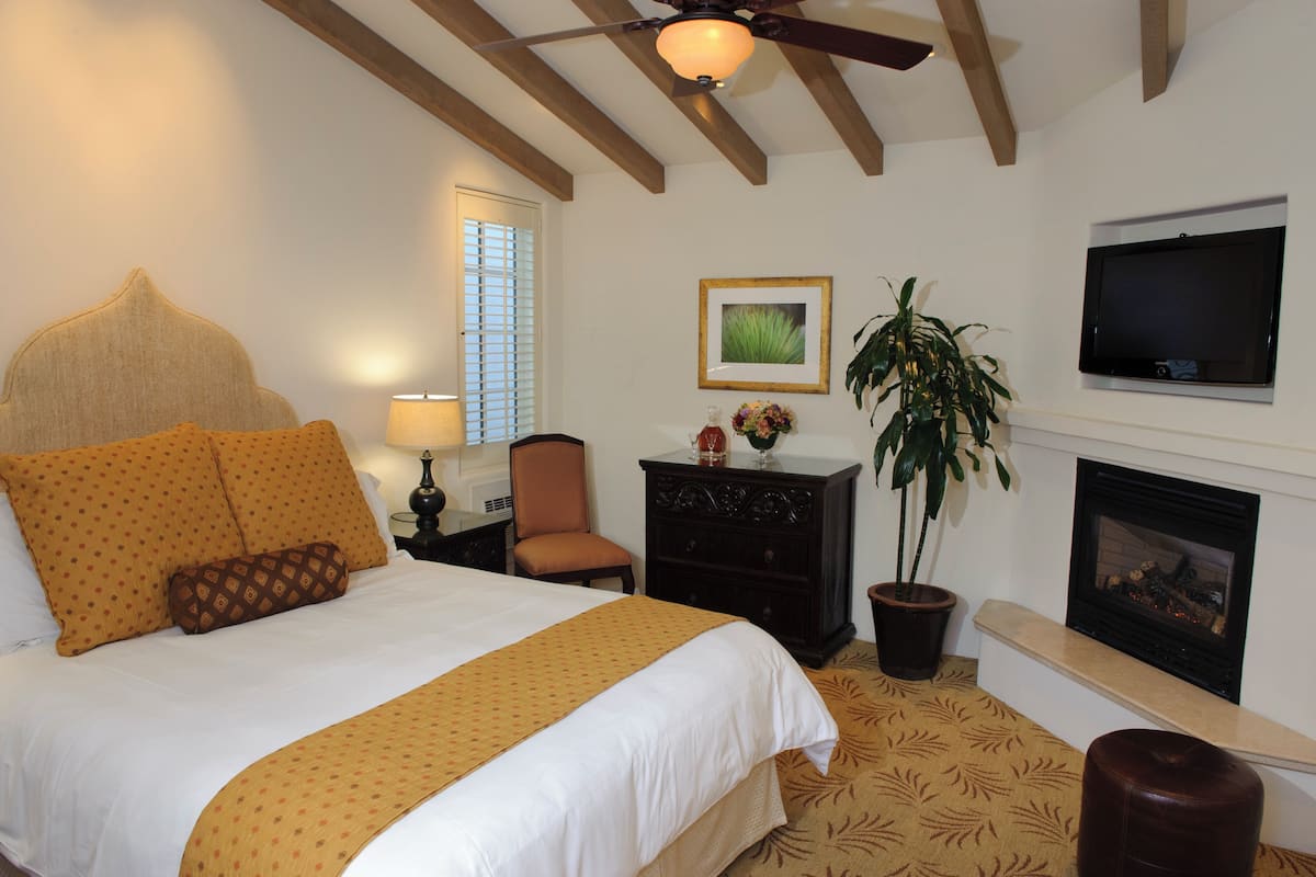 A hotel room with a bed, a television, a fireplace, and a potted plant.