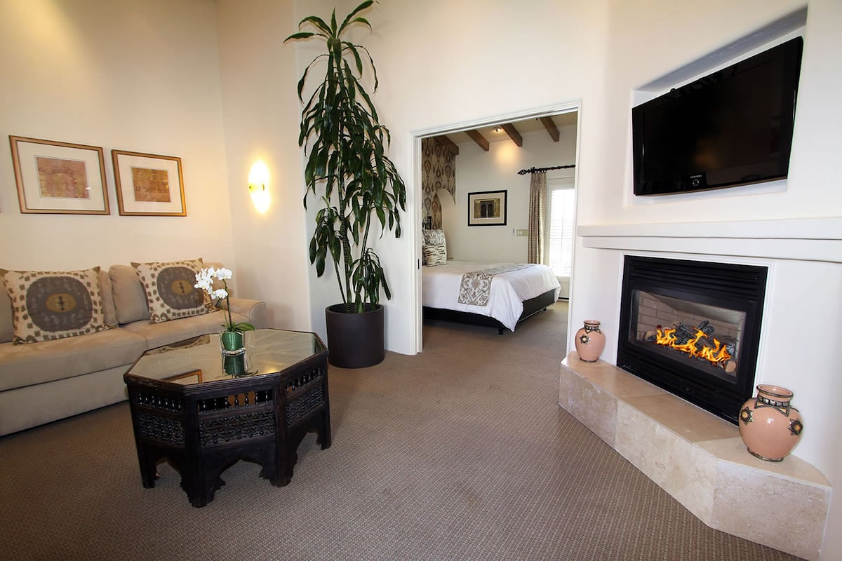 A living room with a sofa, coffee table, potted plant, fireplace, and a television.