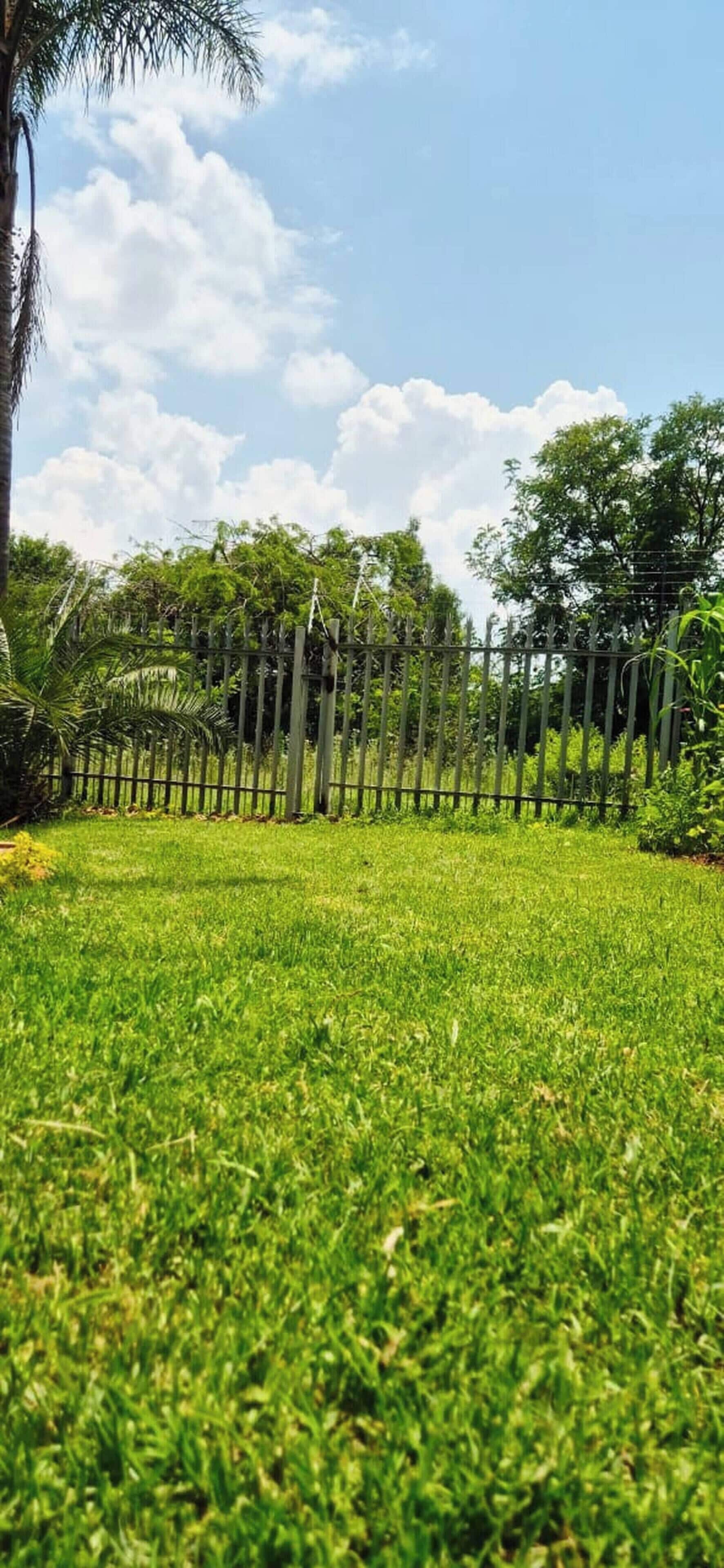 A grassy area with a wooden fence, trees, and a clear sky.