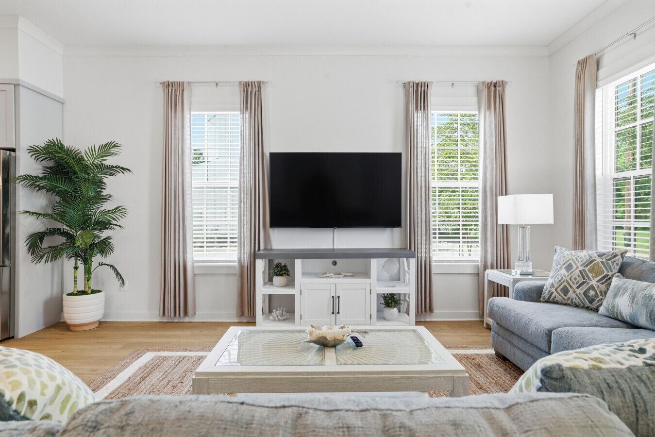 A living room with a flat-screen TV, a sofa, a coffee table, and a potted plant.