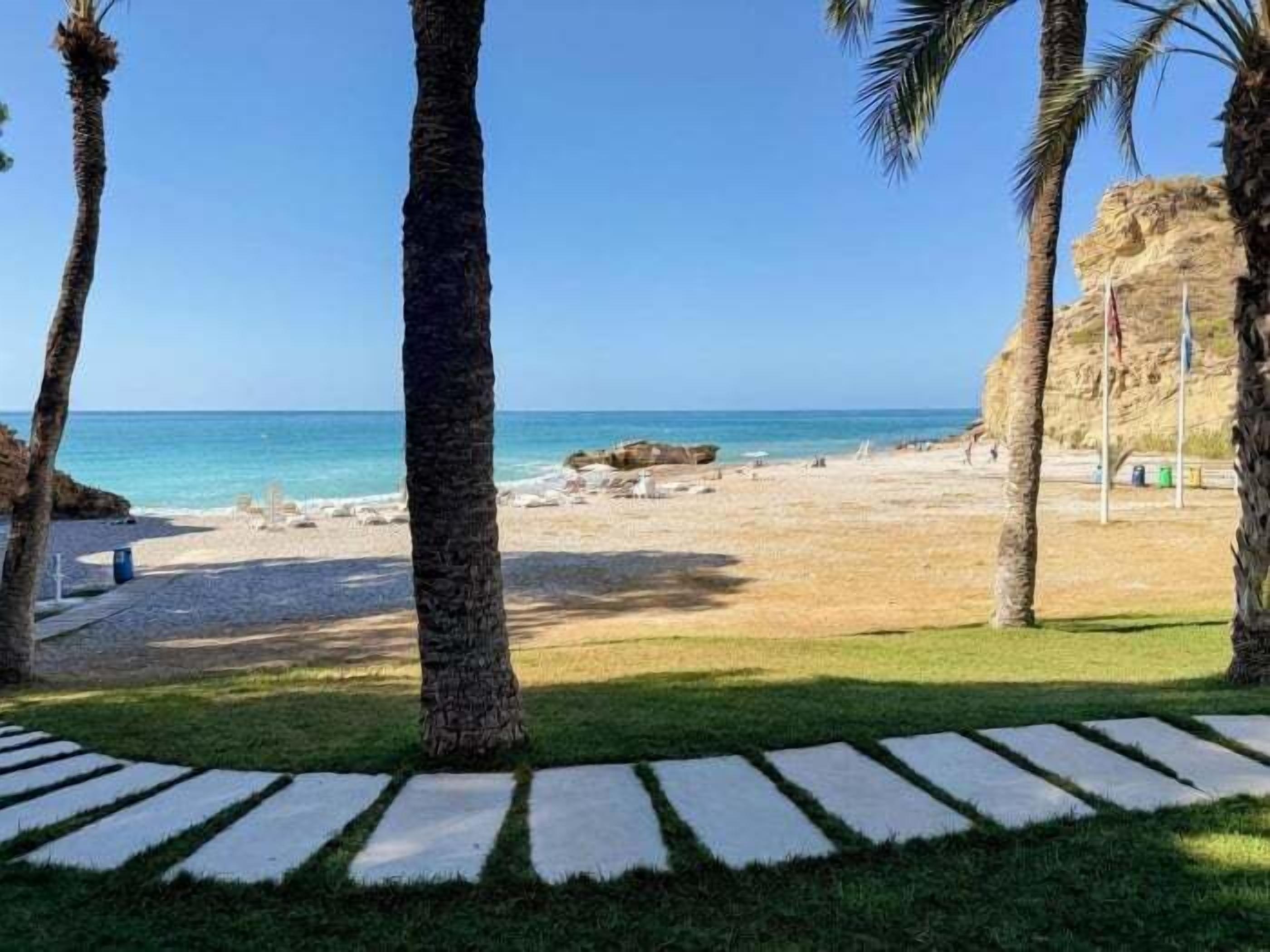 A beach with palm trees, a clear sky, and a rocky cliff in the background.