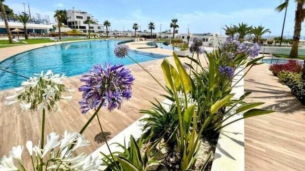 A pool area with a curved design, surrounded by tropical plants and palm trees. - Exclusive Apartment. Relax, Luxury and Sea Views (Finestrat)