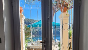 Eine Tür mit zwei Glasscheiben und Metallgittern, die zu einem Außenbereich mit Blick auf ein Gewässer und Grünflächen führt.