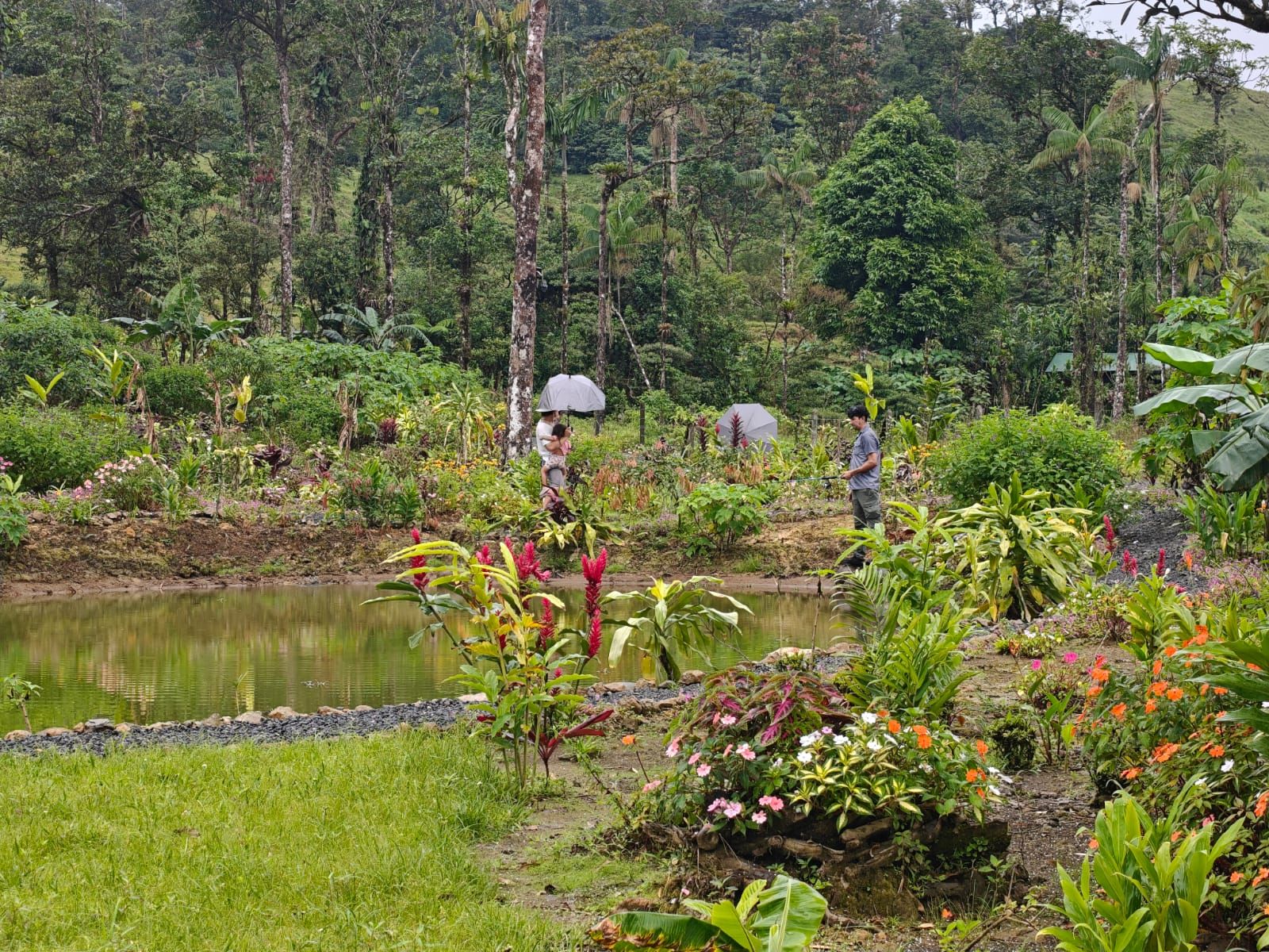 Un exuberante jardín con un estanque, rodeado de densa vegetación tropical y algunas personas.