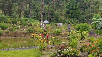 Un exuberante jardín con un estanque, rodeado de densa vegetación tropical y algunas personas.