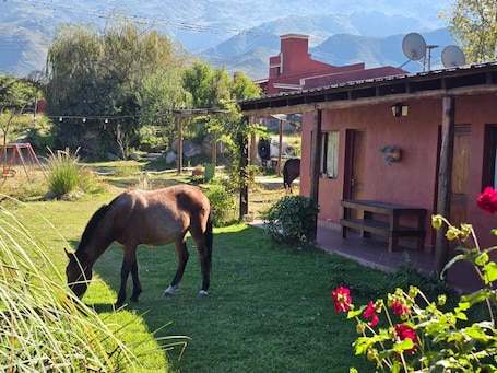 Property grounds. Portal de la Ovejería