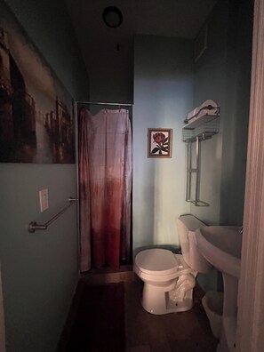 Hair dryer, towels, soap, toilet paper