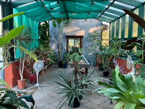Eine überdachte Terrasse mit Topfpflanzen, einem Ventilator und einem Tisch.