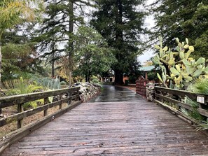 Eine Holzbrücke mit einer Steinmauer auf der einen Seite und einem Kaktus auf der anderen.