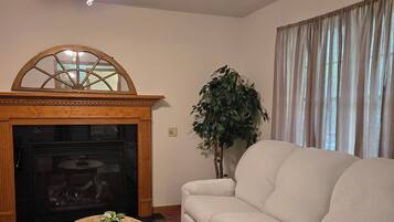Smart TV, fireplace, books