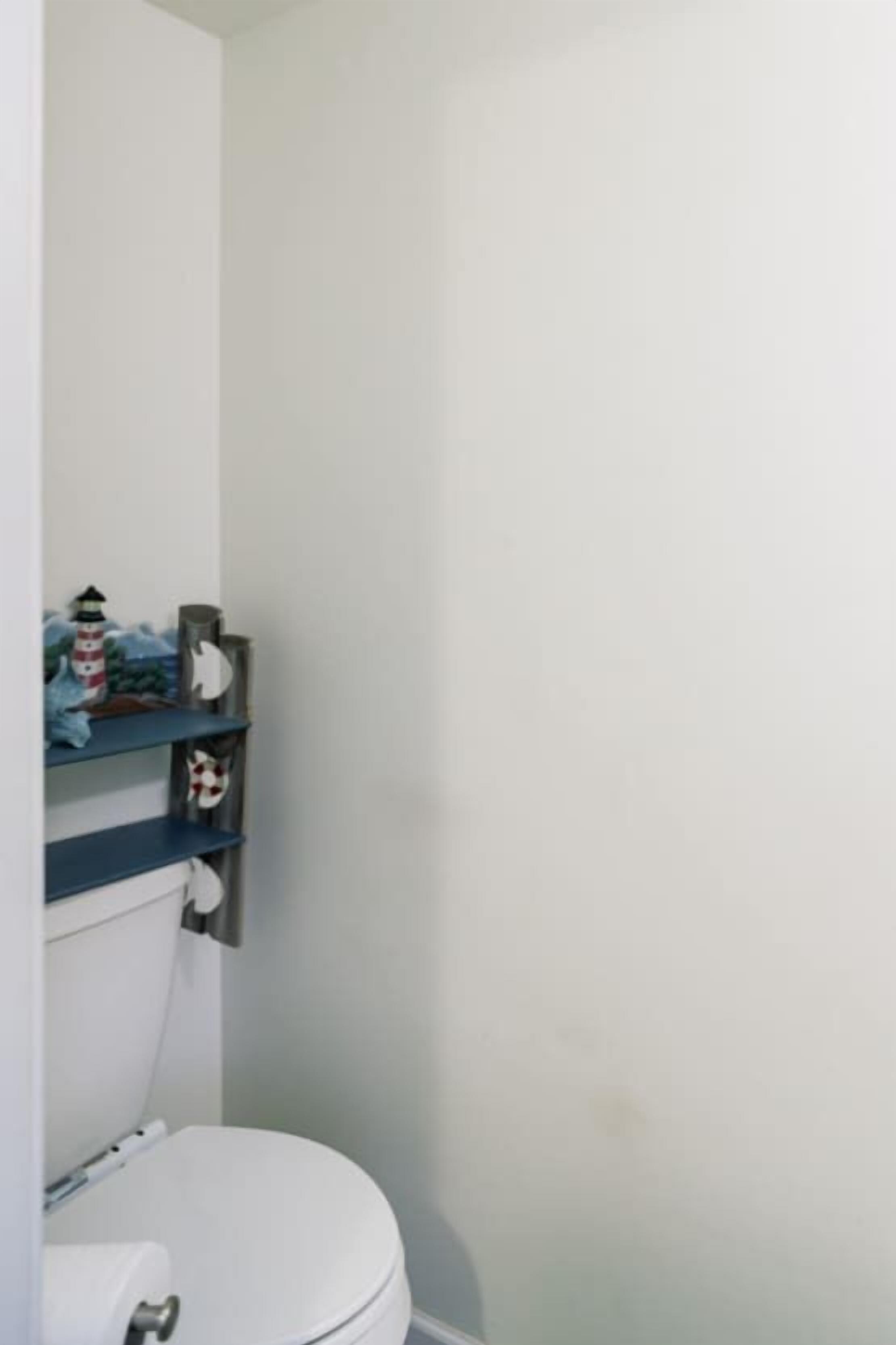 A bathroom with a white toilet, a shelf with toiletries, and a towel rack.