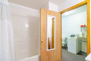 Shower - Cozy Studio Apartment (Iosco County)
