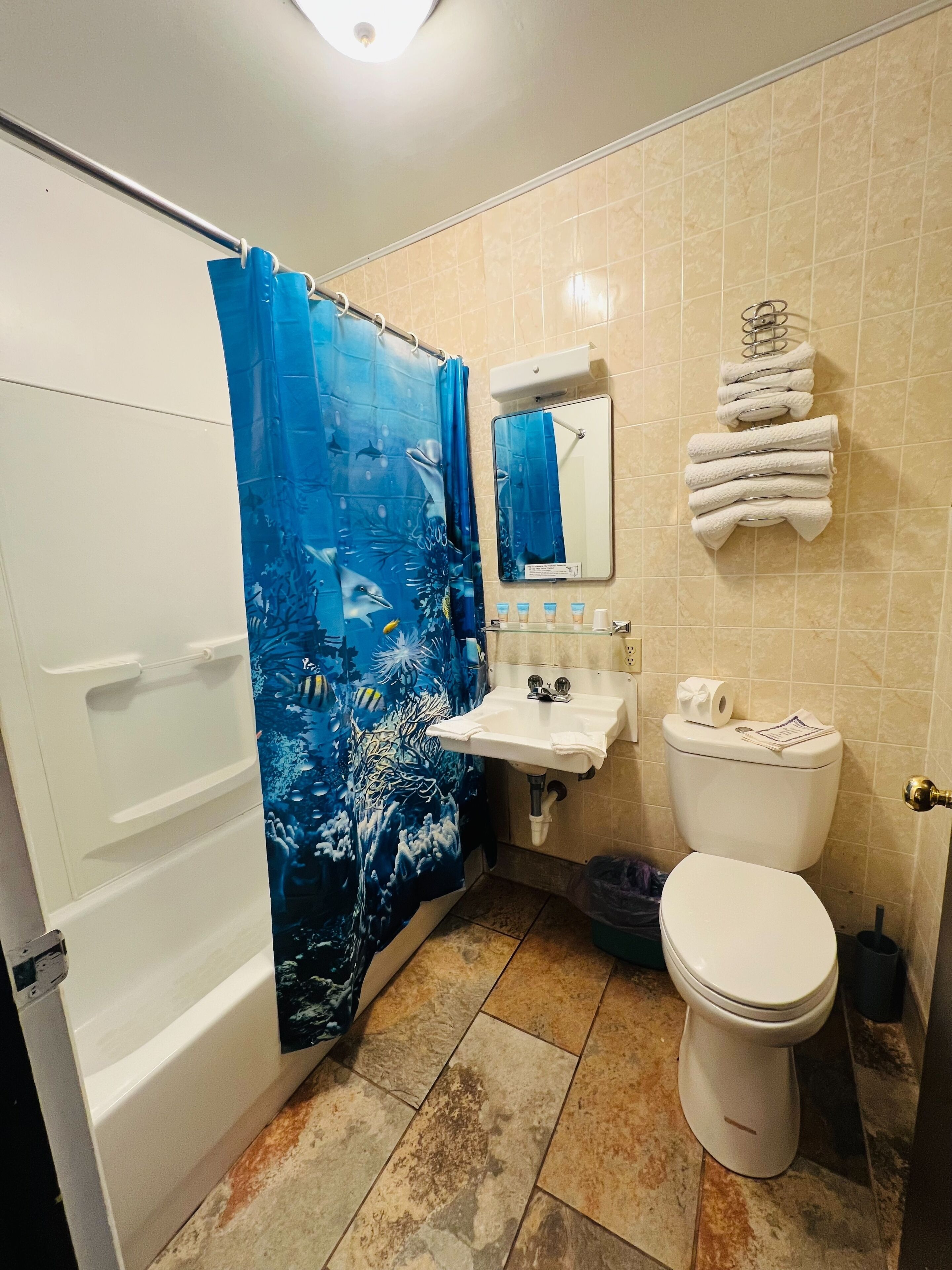 Ensemble baignoire-douche, serviettes fournies, savon, shampooing
