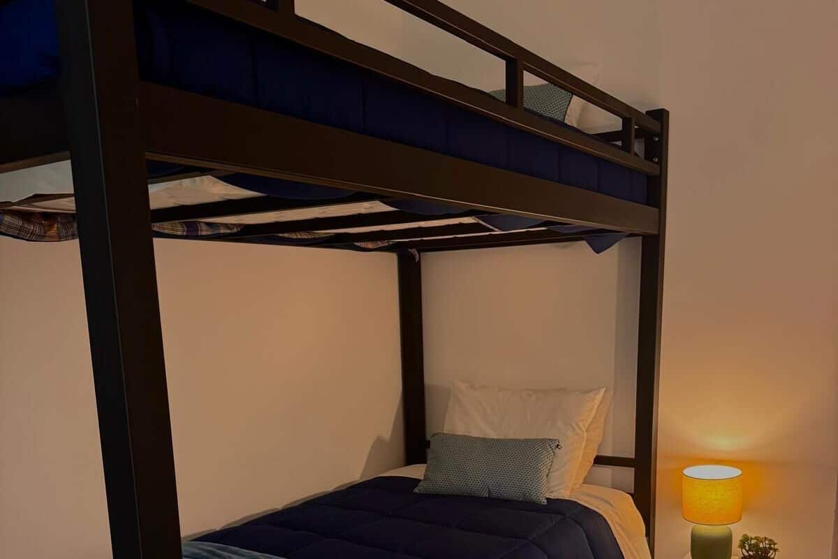 A bunk bed with a blue comforter, a bedside lamp, and a small plant on the nightstand.