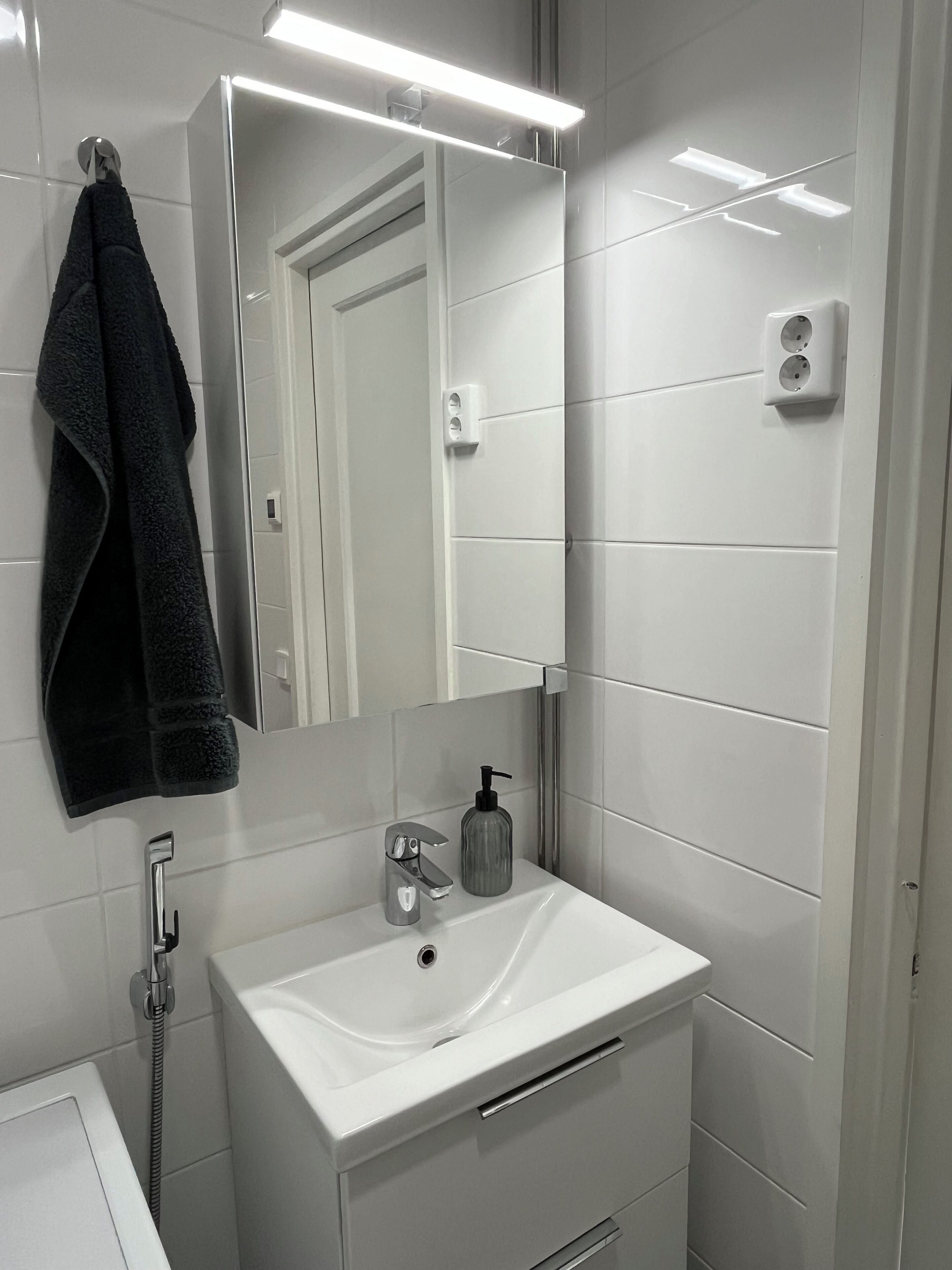 Shower, hair dryer, bidet, towels