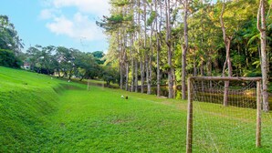 A grassy field with a soccer goal, trees, and a pond. - Country house with heated pool, 7 bedrooms with air conditioning near São Paulo. (Juquitiba)
