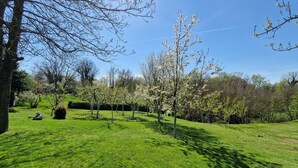 Ein Park mit Rasenflächen, Bäumen und blauem Himmel.
