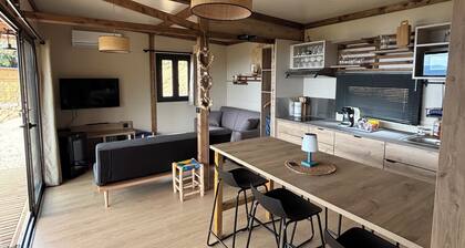 Tiny House 1