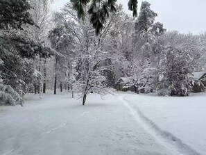 A snow-covered landscape with trees and a cabin. - Secluded Forest Haven | Hot Tub | 5 Min to Beach (Innisfil)