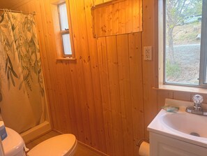 Shower, soap, toilet paper - Peaceful Lakefront Studio With Stunning Dock & Water Views at Tiffanys Resort (Republic)