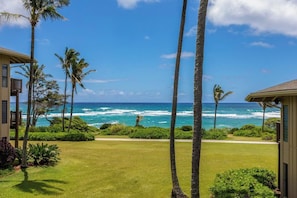 A beachfront property with a view of the ocean, palm trees, and a well-maintained lawn. - ALL NEW Oceanfront 2 storey comfortably sleeps 6-7 (Lihue)