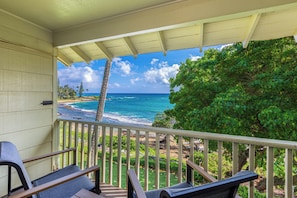 Property grounds - ALL NEW Oceanfront 2 storey comfortably sleeps 6-7 (Lihue)