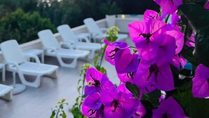 Een zonsondergang met paarse bloemen en witte lounge stoelen.